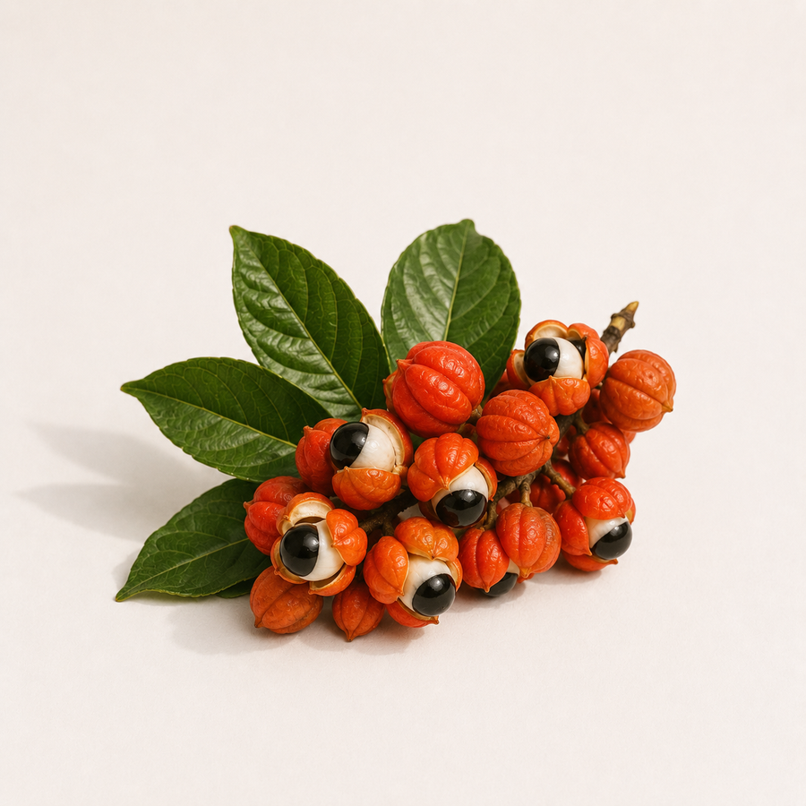 Guarana