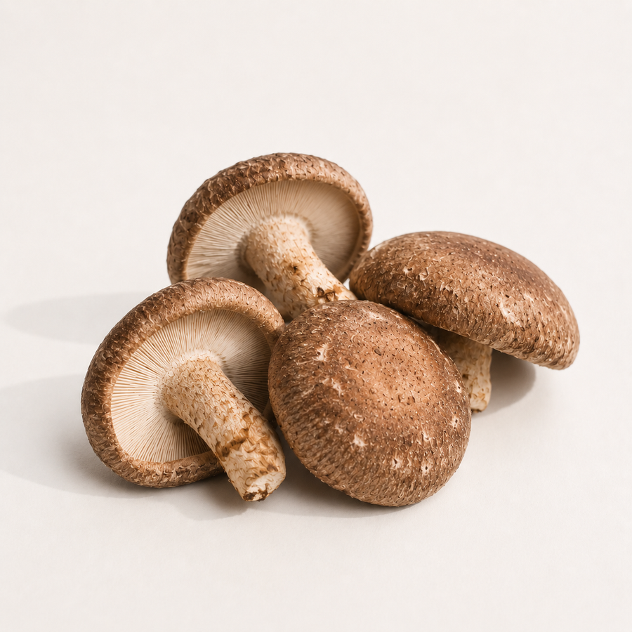 Shiitake