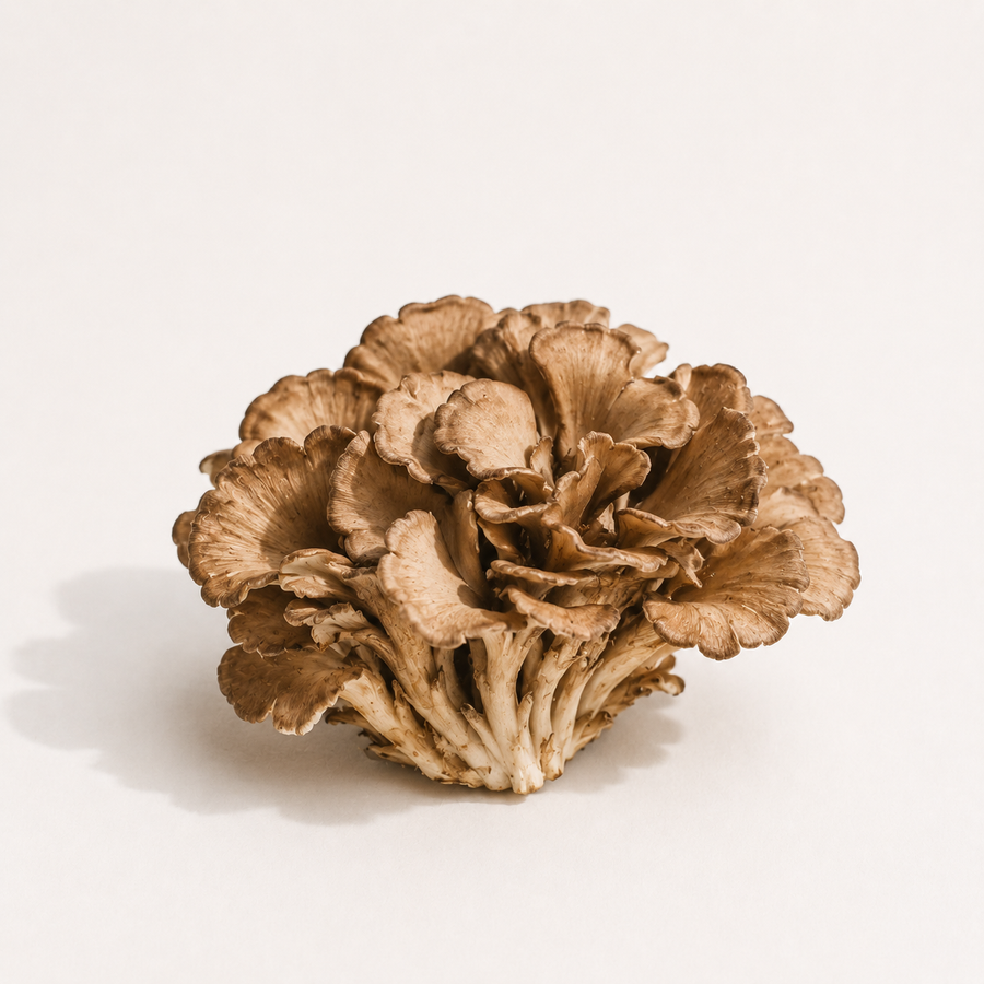Maitake
